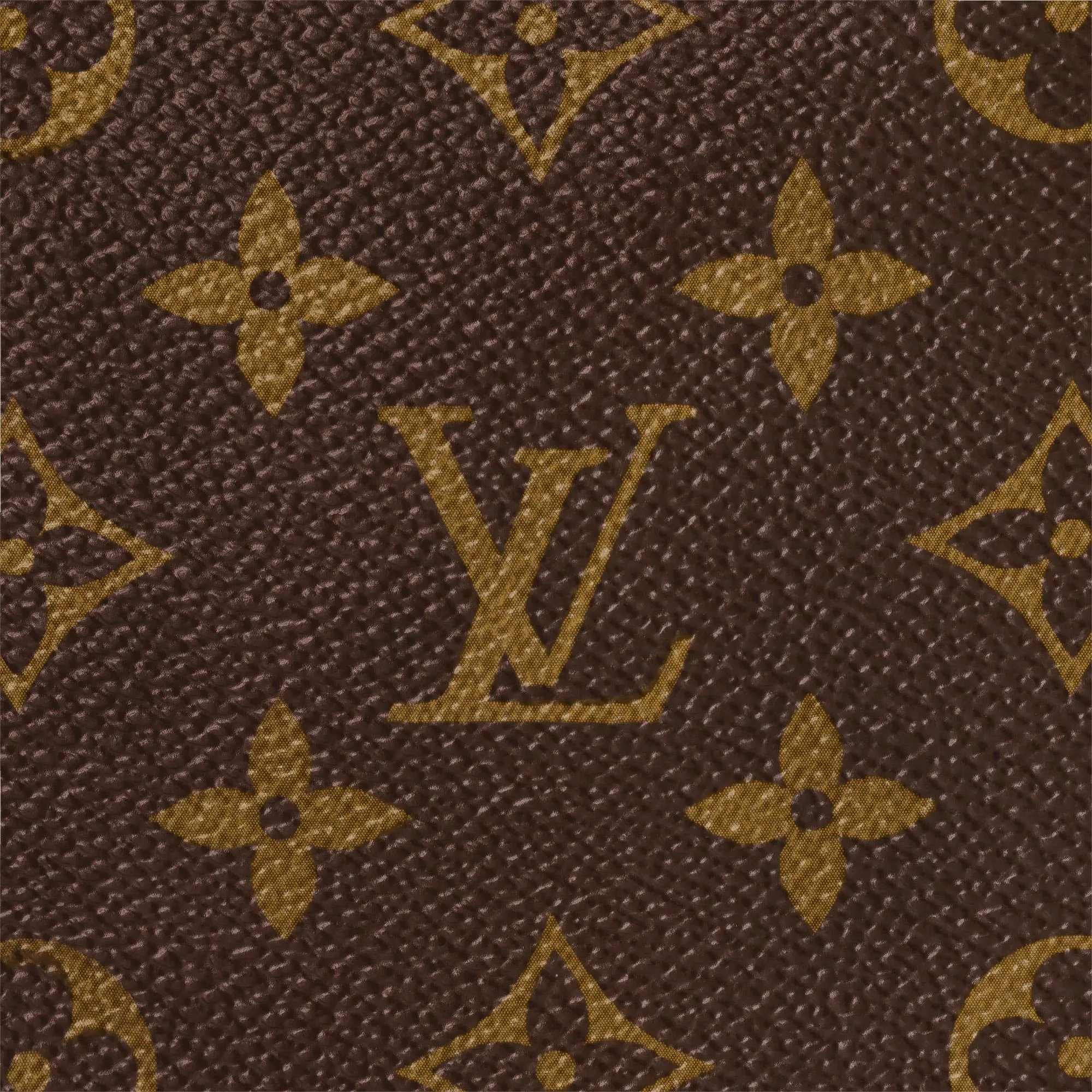 Louis Vuitton Josh Backpack (Monogram Macassar)